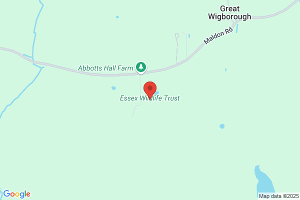 Essex Wildlife Trust