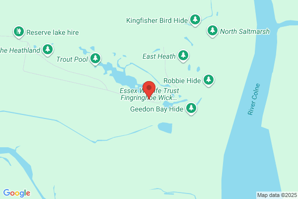 Fingringhoe Club