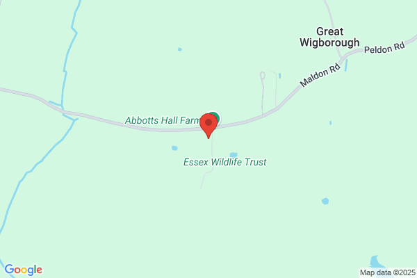 Essex Ecology Services