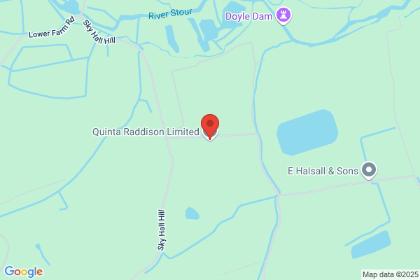 Quinta Raddison Ltd