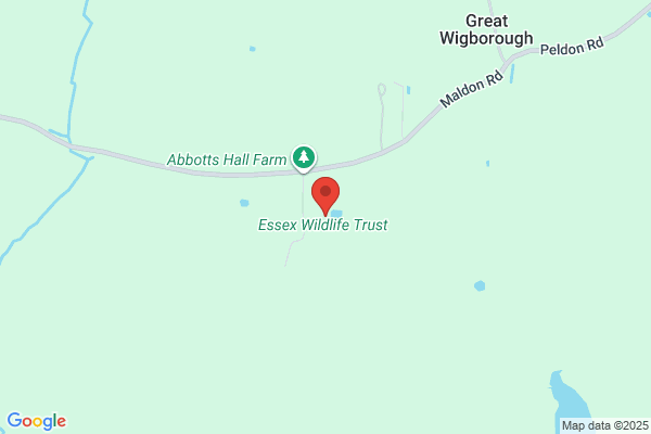 Essex Wildlife Sales Ltd