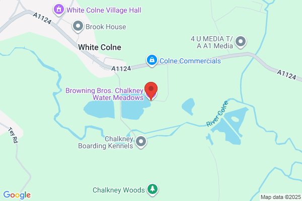 Brown Birds Wedding Hire