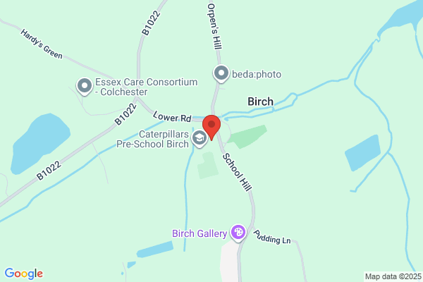 Birch C Of E Primary School