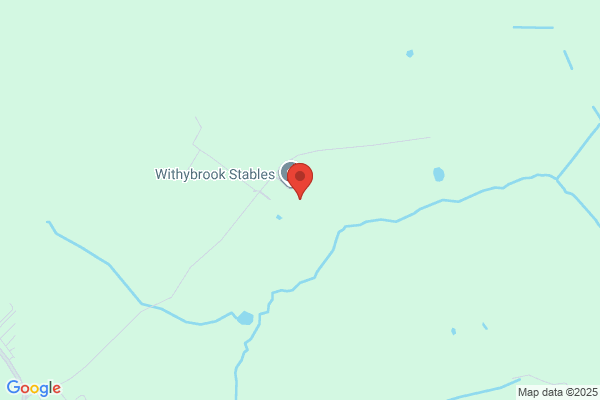 M Holyoak