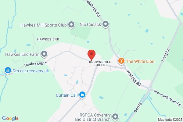 Coventry Wasp Nest Removal