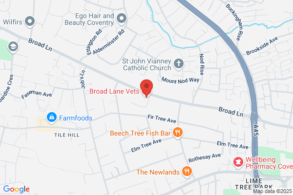 Broad Lane Vets