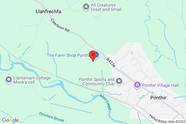 Spectrum Electronic Services