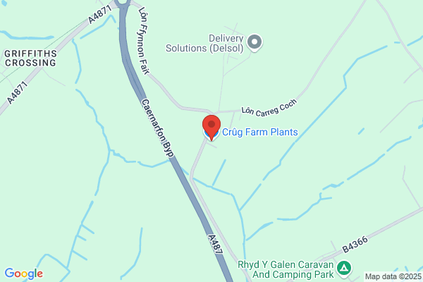 Crug Farm Plants