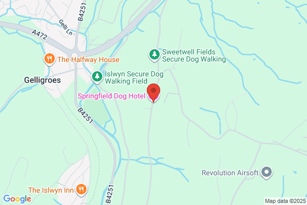 Springfields of Blackwood Boarding Kennels & Cattery