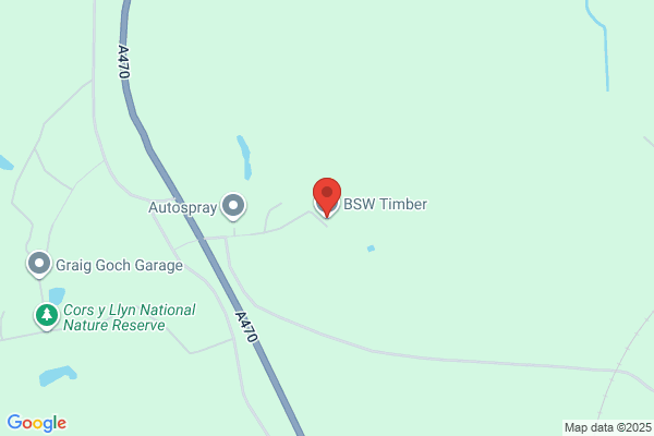 B S W Timber PLC