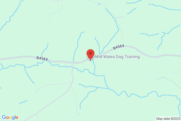Mid-Wales Dog Training