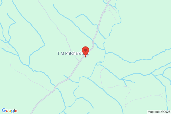 T M Pritchard
