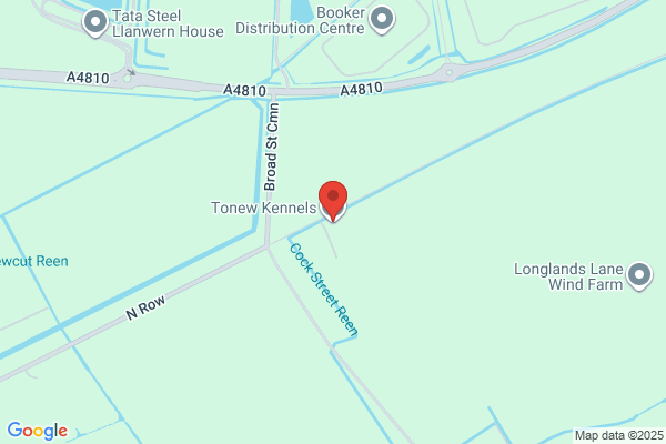 Tonew Kennels