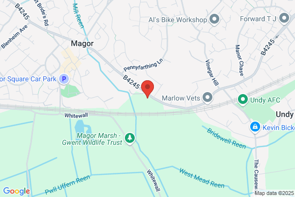 Magor