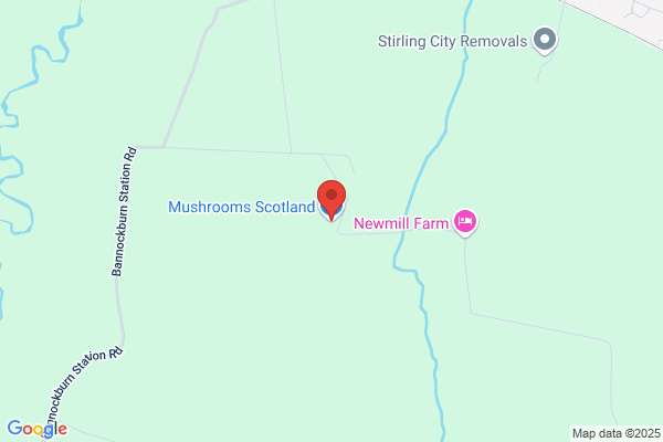 Stirling Mushrooms Ltd