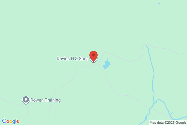 A Davies & Sons