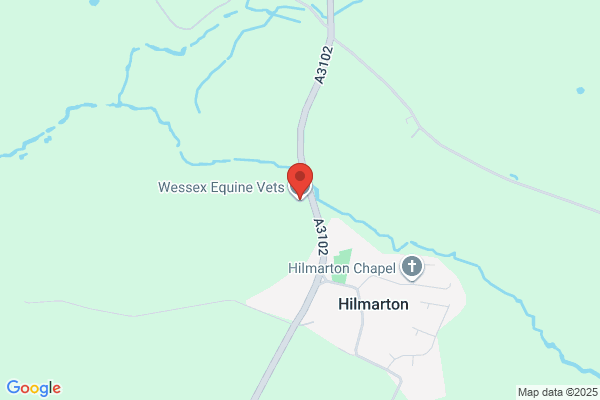 Wessex Equine Vets
