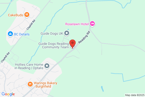 The Guide Dogs For The Blind Association