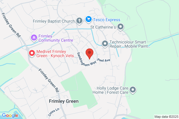 Surrey Building Services