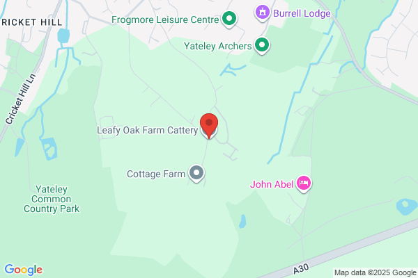 Bovingdon Cattery