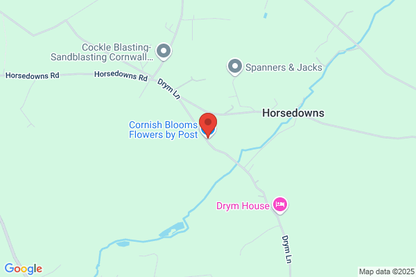 Cornish Blooms
