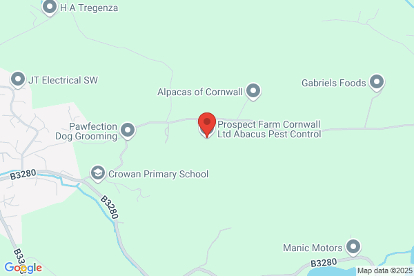 Abacus & Penwith Pest Control