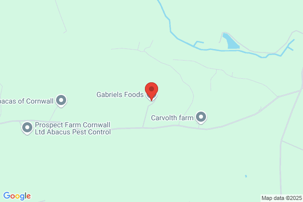 Gabriels Foods