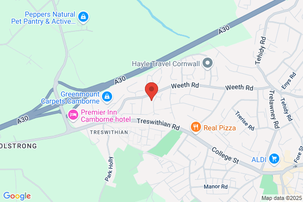 Trevithick Society