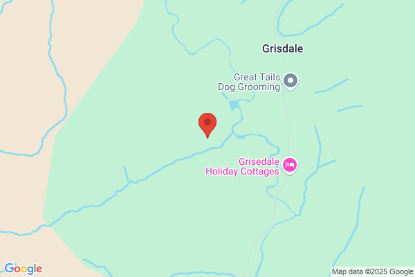 P Grisdale