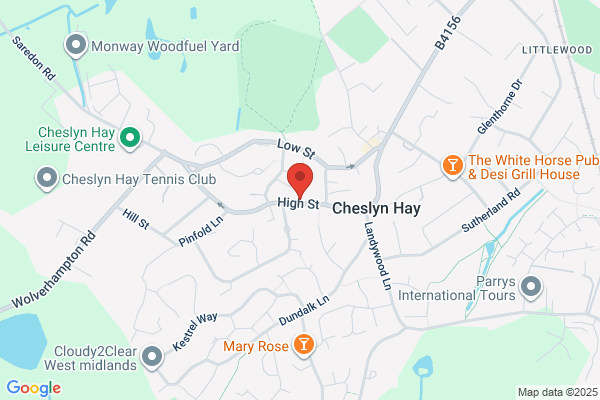 Evergreen Tree Specialist