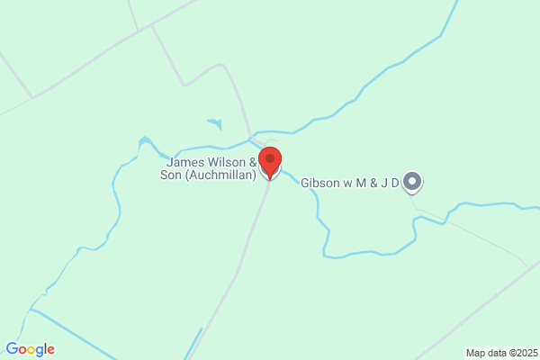 M Wilson