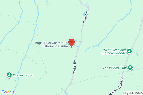 Canterbury Pet Centre