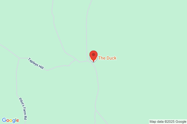 The Duck Inn