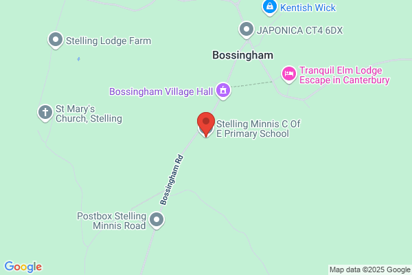 Stelling Minnis C Of E Primary School