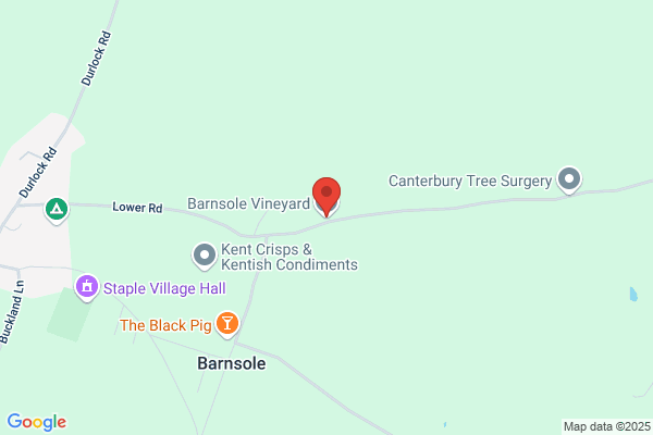 Barnsole Vineyard