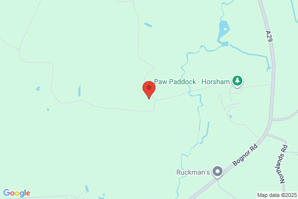 Anderson Abercromby Veterinary Referrals