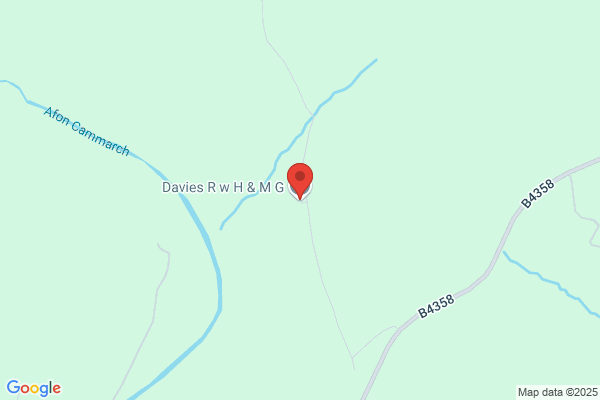 H S Davies