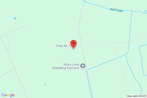 M J Park