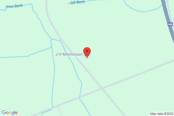 D Mitchinson