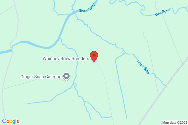 Whinney Brow Kennels