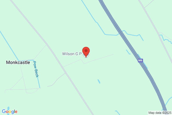 T Wilson