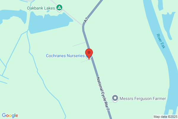 Cochrane's
