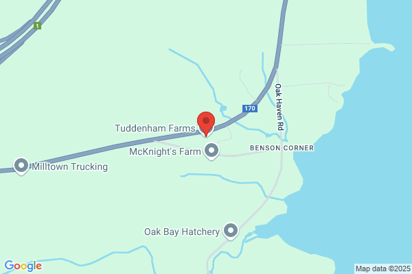 Tuddenhams Ltd