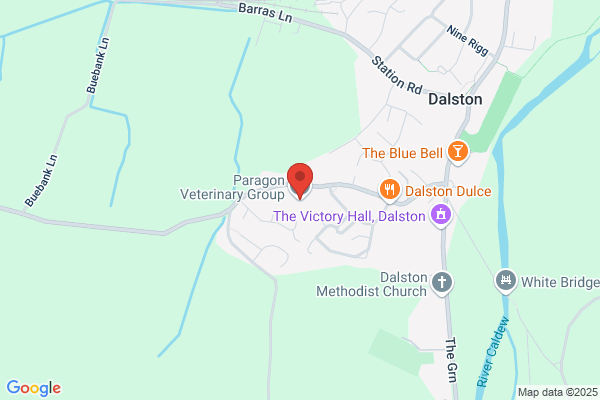 Paragon Veterinary Group