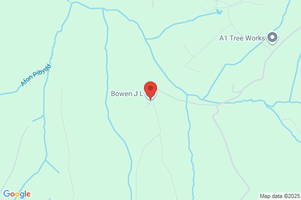 D Bowen