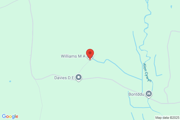 L Williams