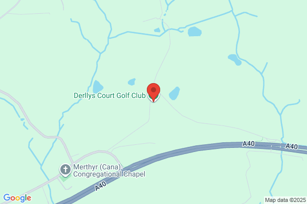 Derllys Court