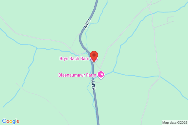 Bryn Bach