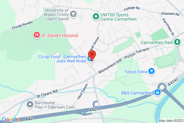 Bro Tywi Fisheries