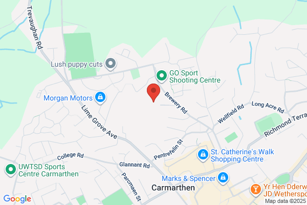 Myrddin County Primary School